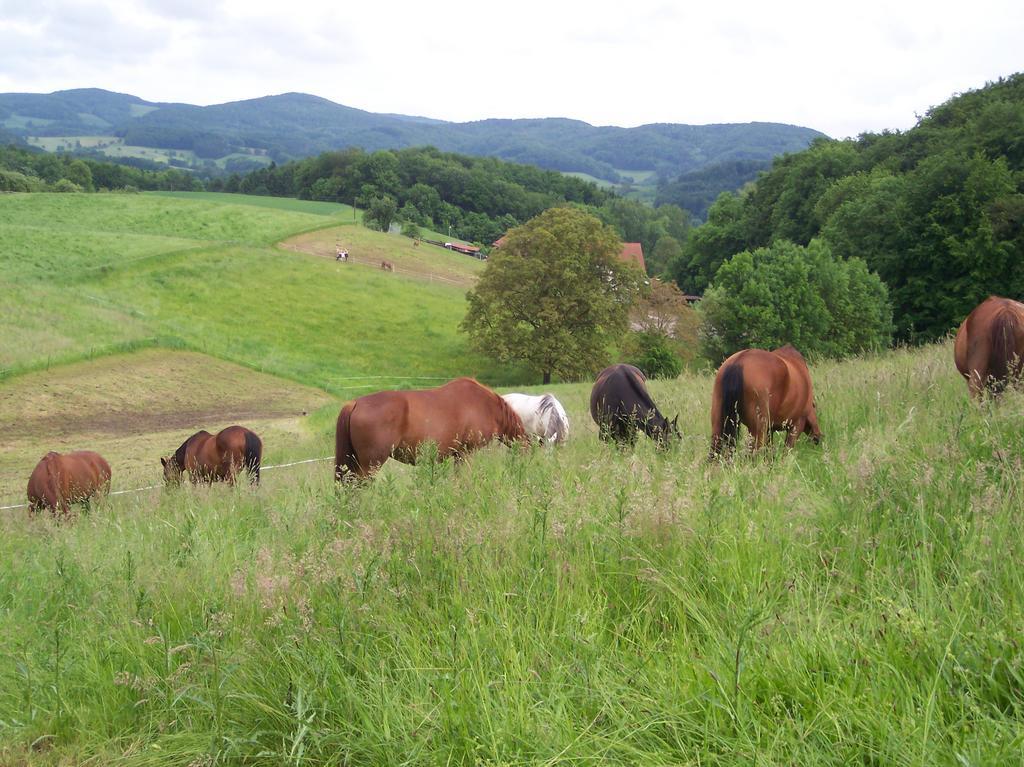 Pferdehof Und Wanderreitstation Doersam Villa Moerlenbach Bagian luar foto
